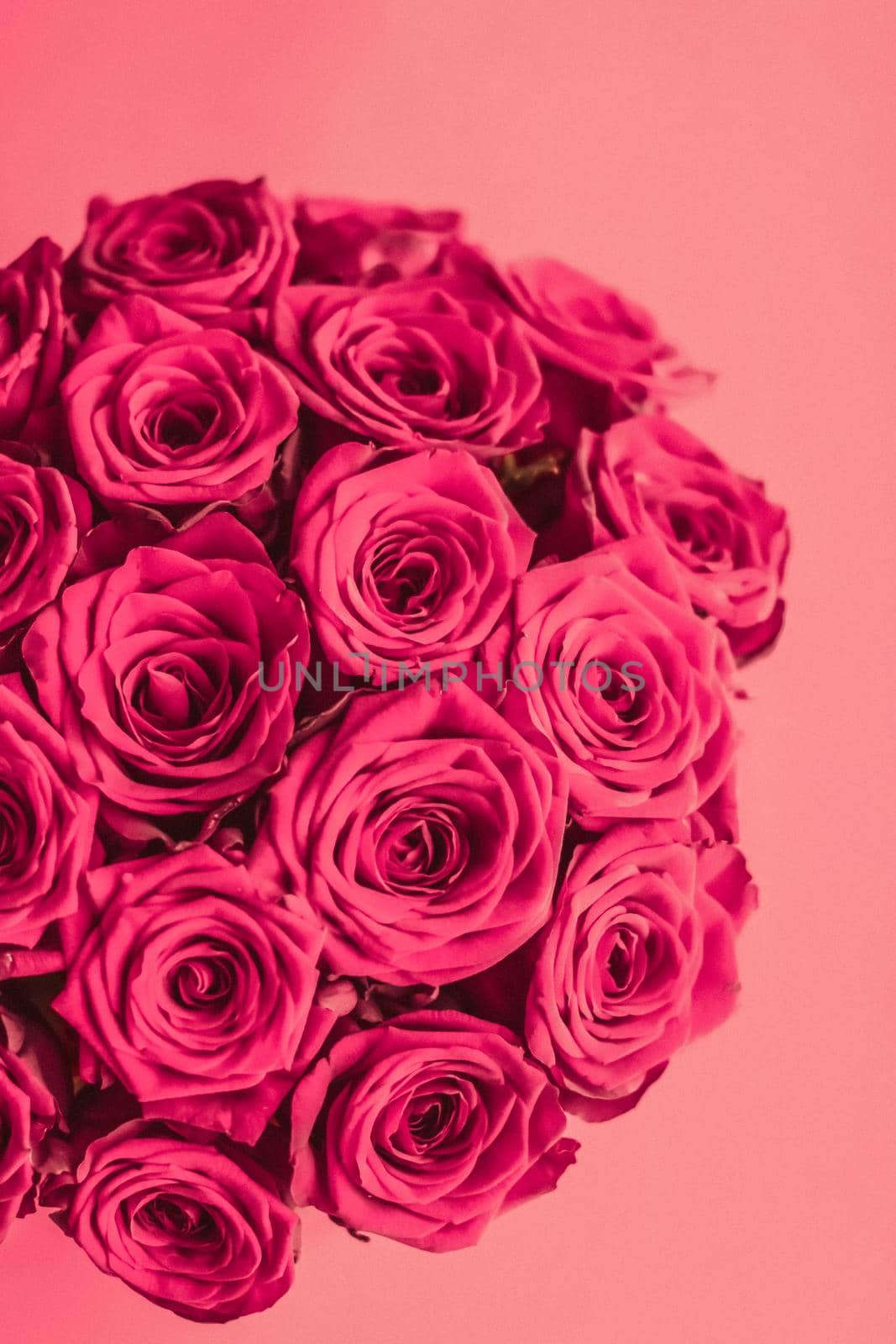 Blooming rose, flower blossom and Valentines Day gift concept - Romantic luxury bouquet of pink roses, flowers in bloom as floral holiday background
