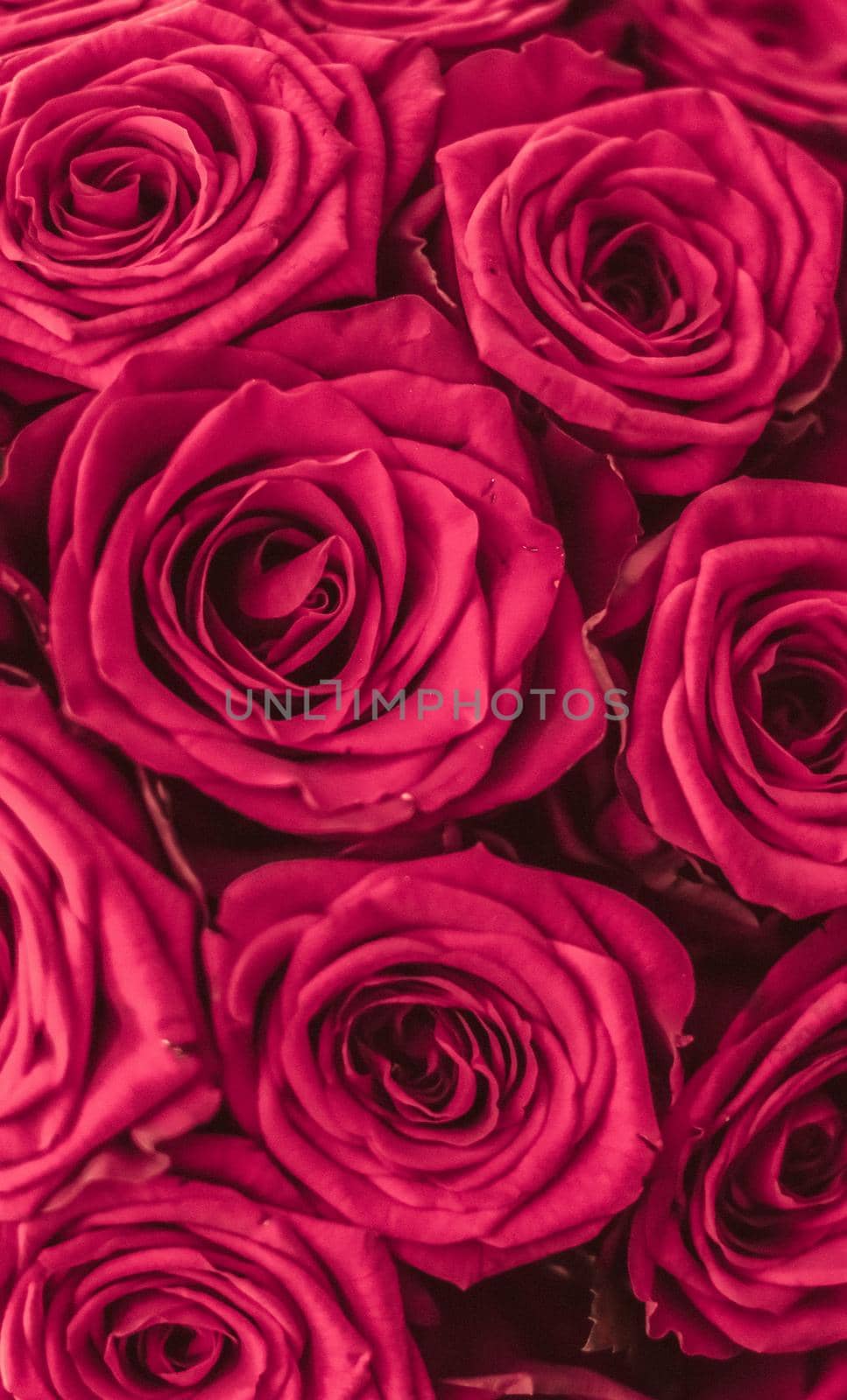 Blooming rose, flower blossom and Valentines Day gift concept - Romantic luxury bouquet of pink roses, flowers in bloom as floral holiday background