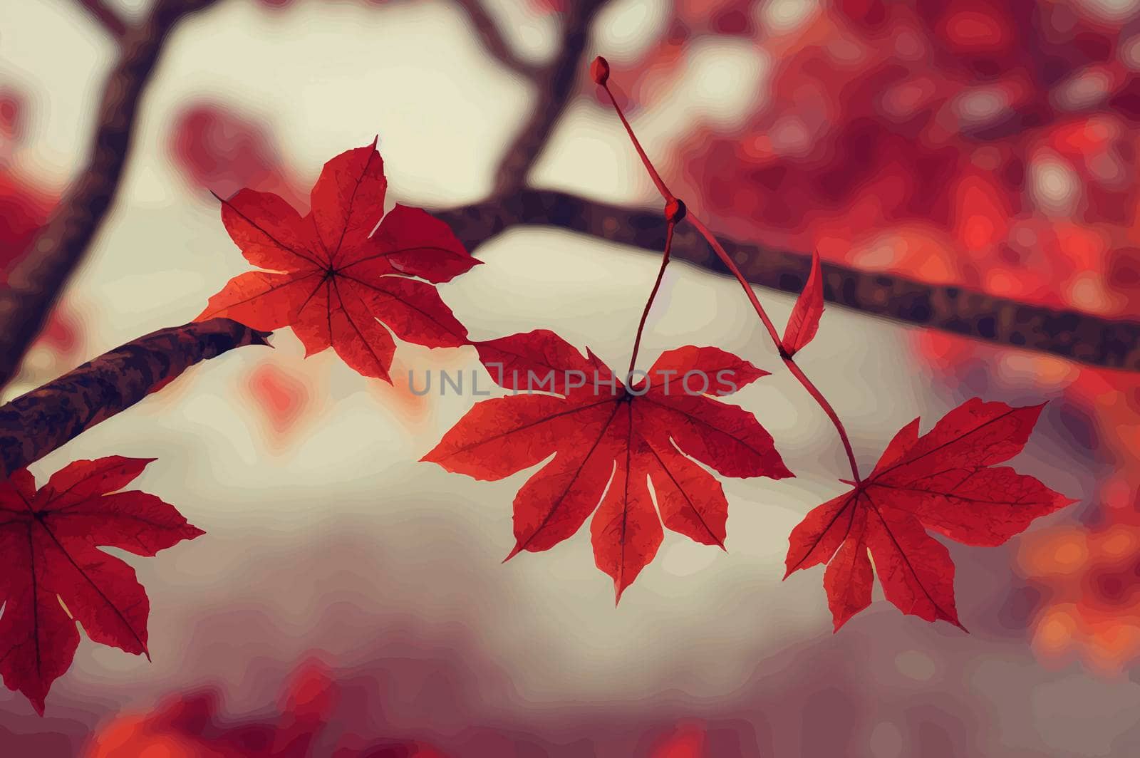 Red maple leaves on the branches.