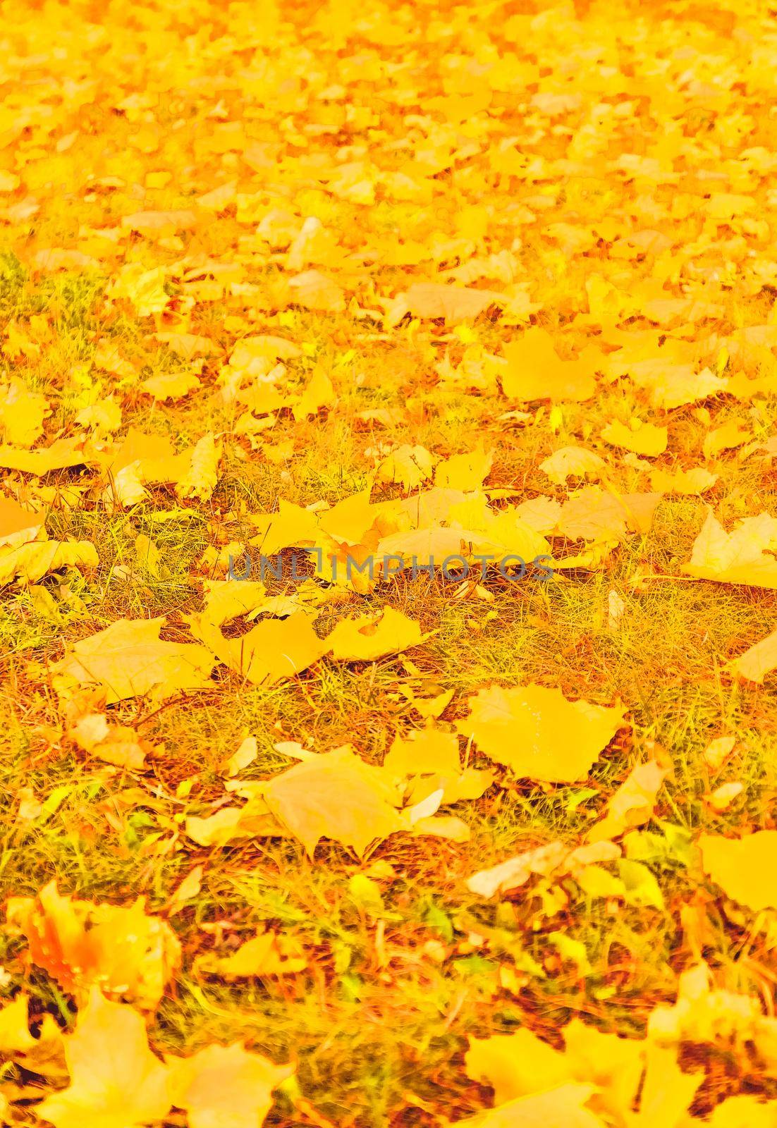 Seasonal travel, retro backdrop and rural environment concept - Beautiful autumn landscape background, vintage nature scene in fall season