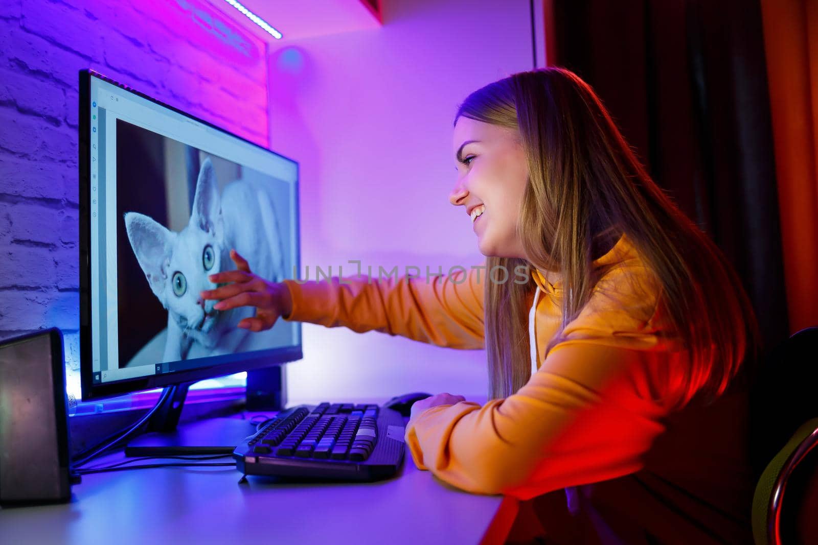 Girl freelancer looks on a computer screen at a cat. Sitting in an apartment at a computer desk