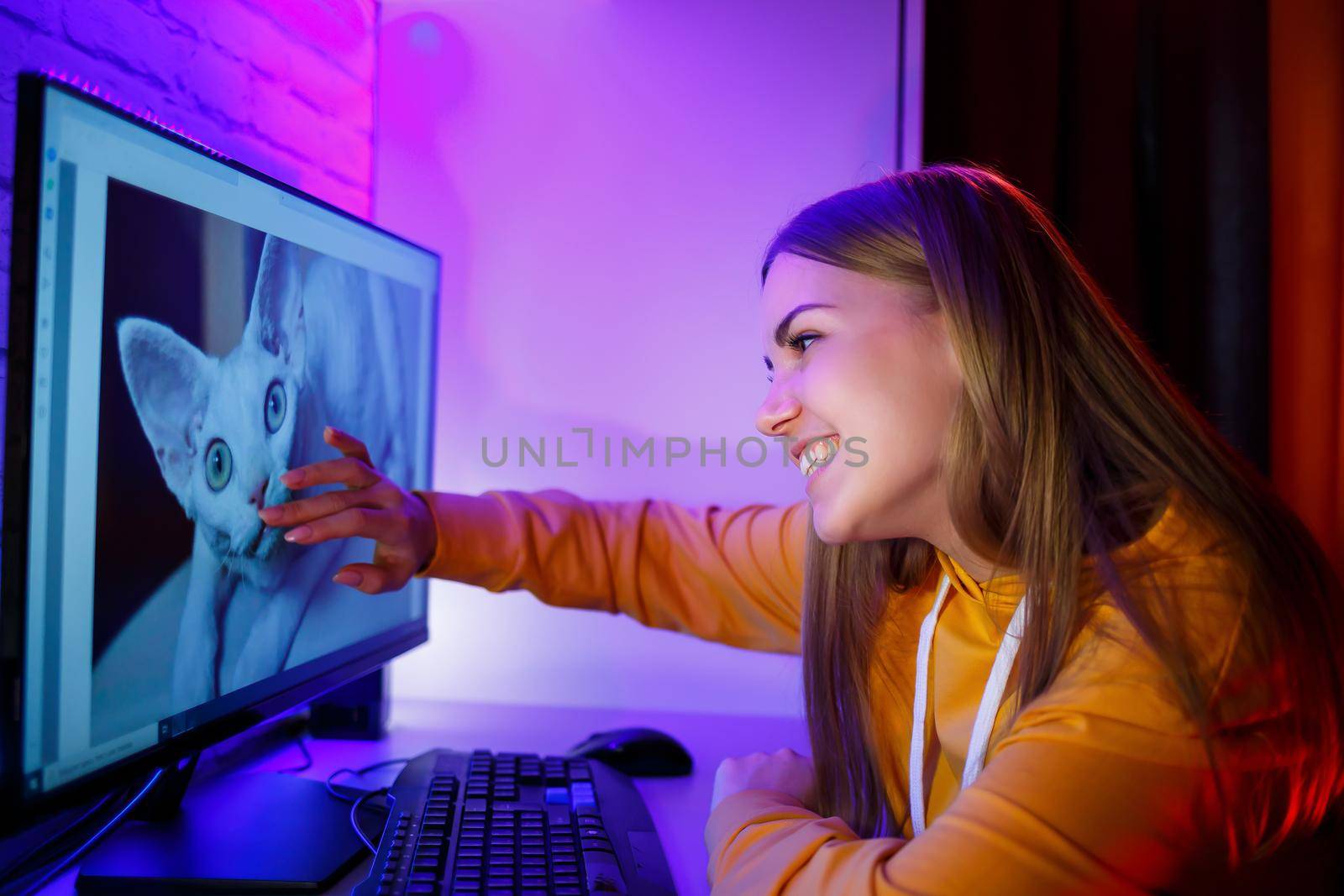 Girl freelancer looks on a computer screen at a cat. Sitting in an apartment at a computer desk