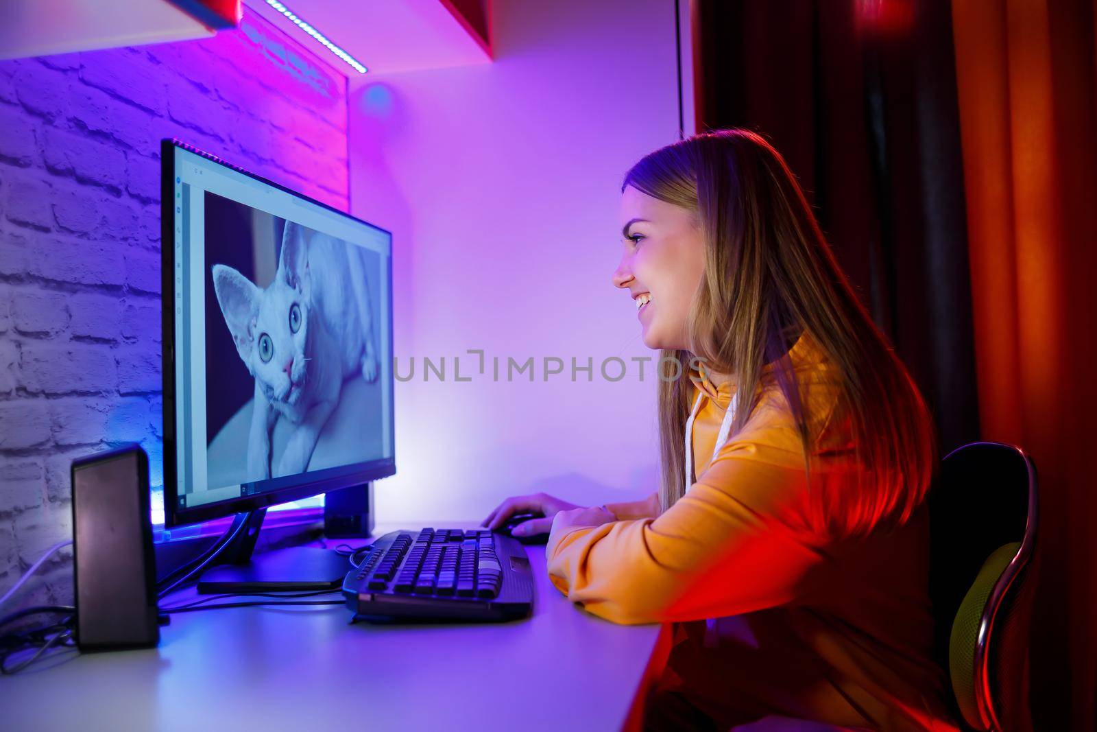 Girl freelancer looks on a computer screen at a cat. Sitting in an apartment at a computer desk