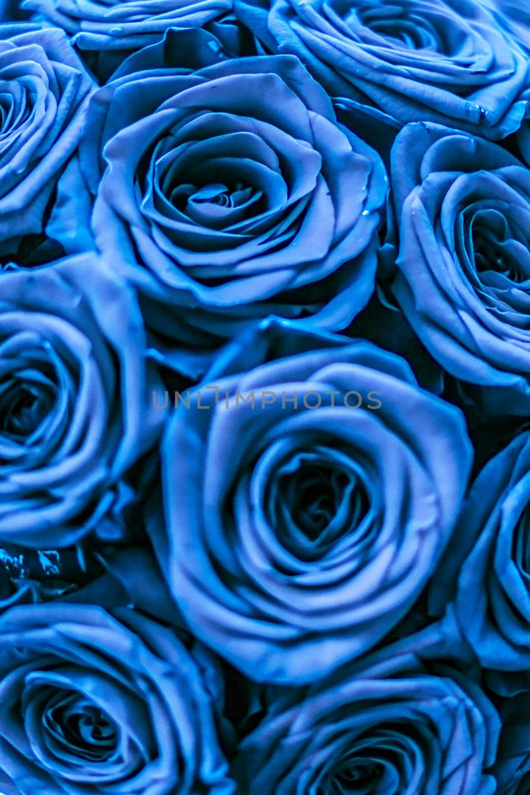 Blooming rose, flower blossom and Valentines Day gift concept - Glamour luxury bouquet of blue roses, flowers in bloom as floral holiday background