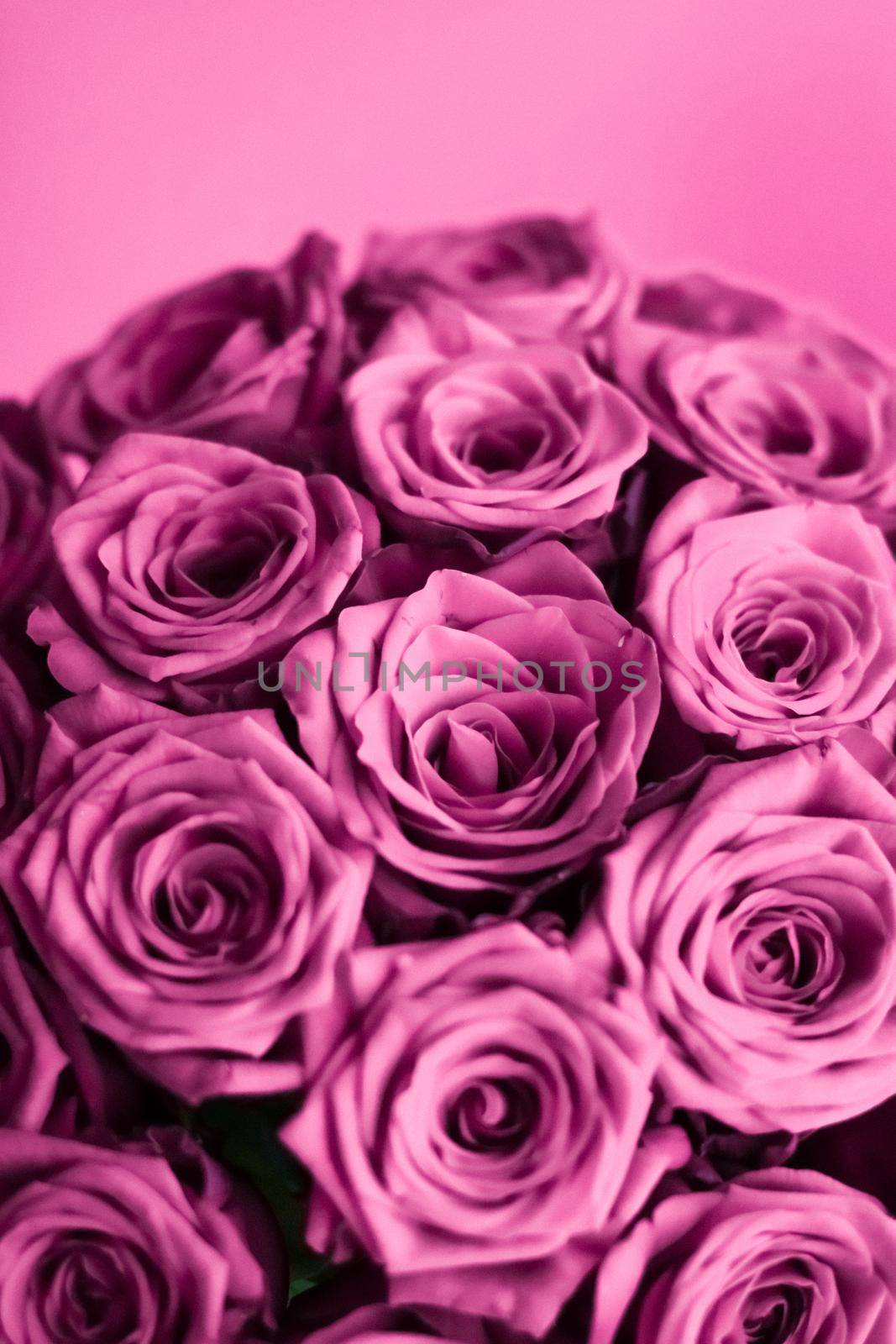 Blooming rose, flower blossom and Valentines Day gift concept - Luxury bouquet of purple roses, flowers in bloom as floral holiday background