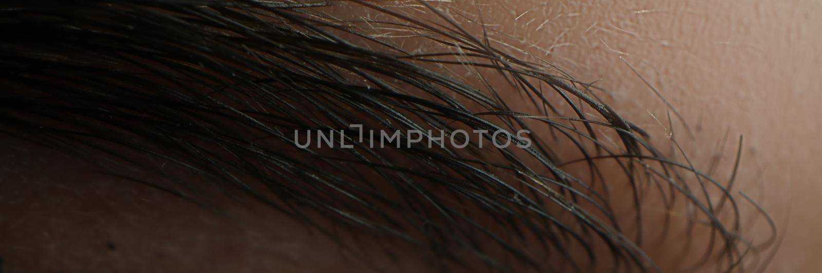 Female eyebrow dyed with black henna. Eyebrow care concept