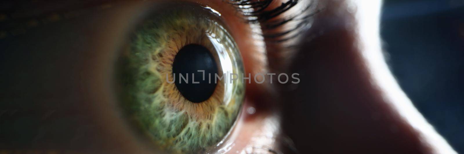 Female one green gray eye closeup. Farsightedness myopia by kuprevich