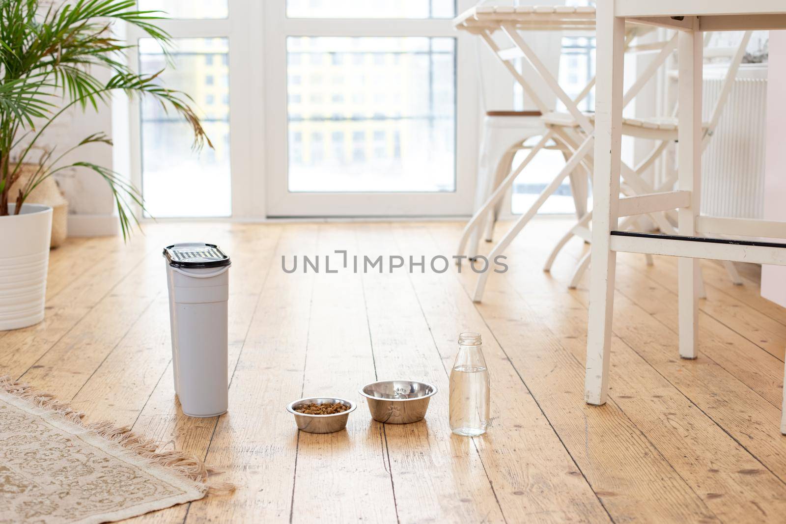 Two metal bowls for animals with dry food and water , a gray plastic container with animal food and a transparent bottle of water, stand on the wooden floor in a bright kitchen, in daylight windows Copy space