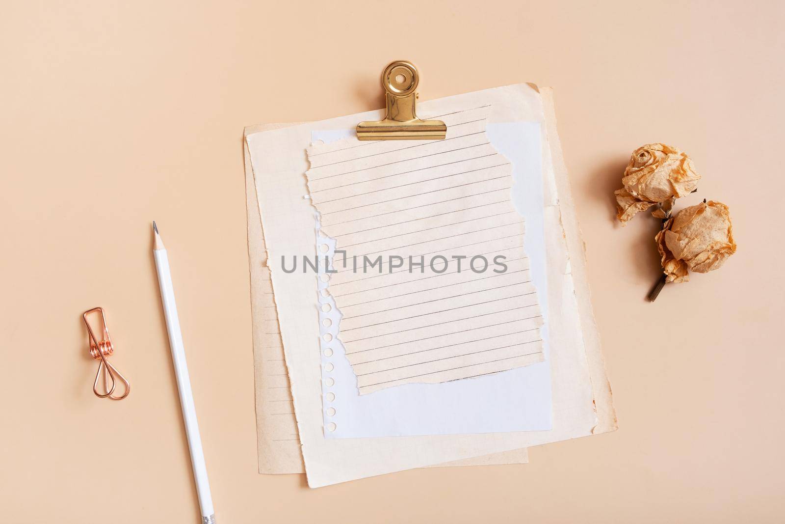 Blank sheet paper notebook on colored background top view. Flat lay.