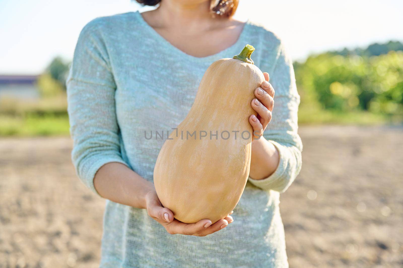 Closeup ripe pumpkin in woman hands, farm background by VH-studio