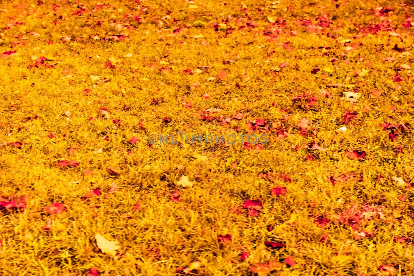 Seasonal travel, retro backdrop and rural environment concept - Beautiful autumn landscape background, vintage nature scene in fall season