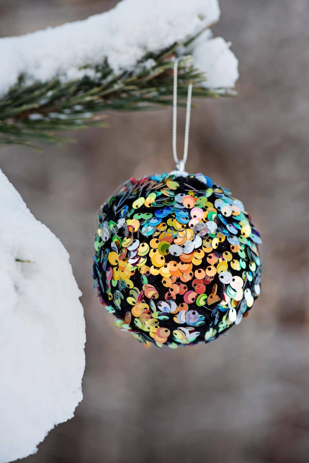Hanging multi colored glitter Christmas ball on spruce and over blurred background.