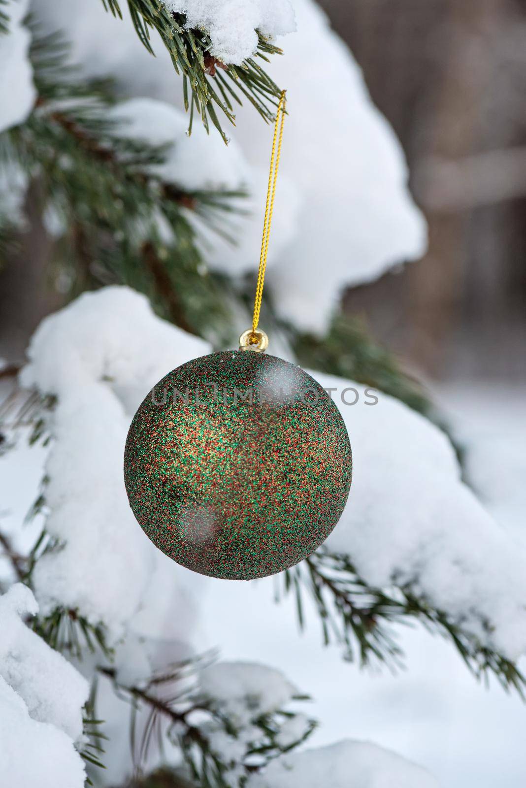 Hanging green glitter Christmas ball on spruce and over blurred background.