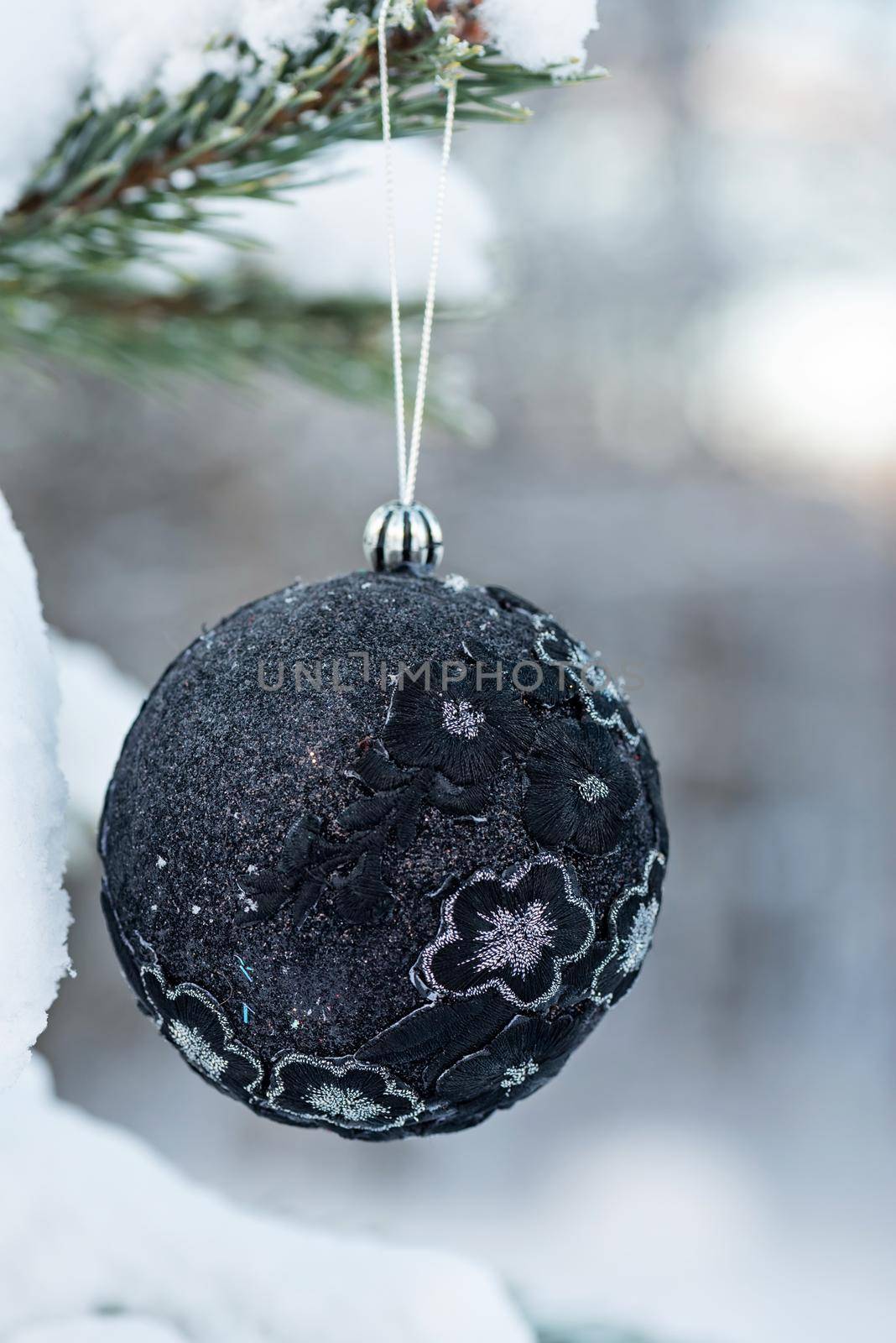 Hanging black glitter Christmas ball on spruce and over blurred background.