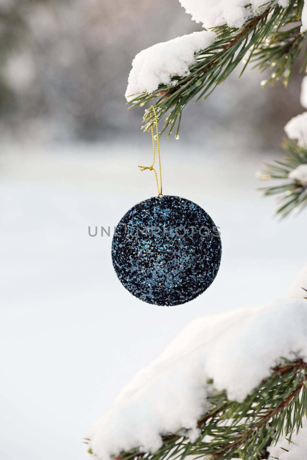 Hanging blue glitter Christmas ball on spruce and over blurred background by anytka