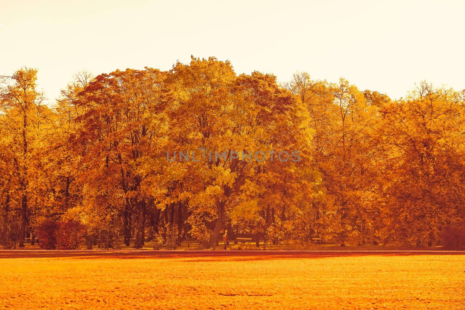 Seasonal travel, retro backdrop and rural environment concept - Beautiful autumn landscape background, vintage nature scene in fall season