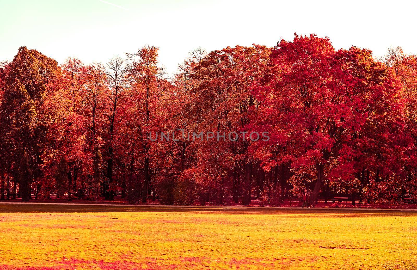 Seasonal travel, retro backdrop and rural environment concept - Beautiful autumn landscape background, vintage nature scene in fall season