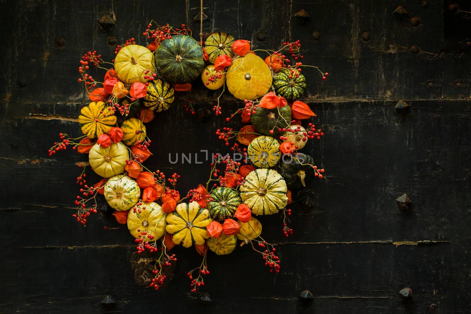 Handmade wreath of the small pumpkins and zucchinis on a vintage door Halloween pumpkins