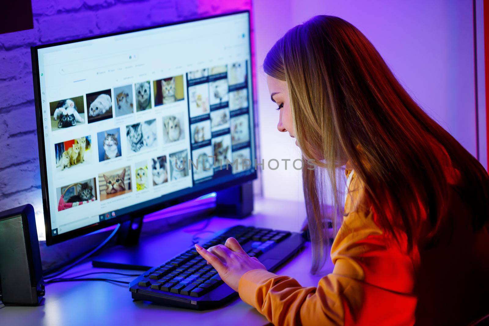 Girl freelancer looks on a computer screen at a cat. Sitting in an apartment at a computer desk