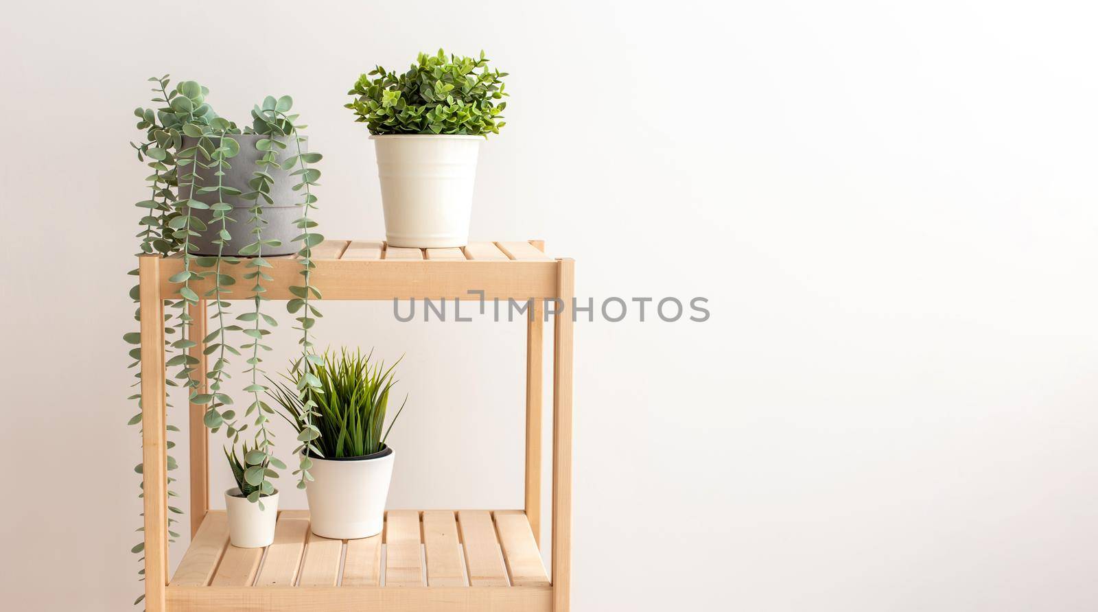 Various artificial succulents with exotic plants stand in white ceramic pots on a wooden shelf against a white wall. Space for copying. Wide banner