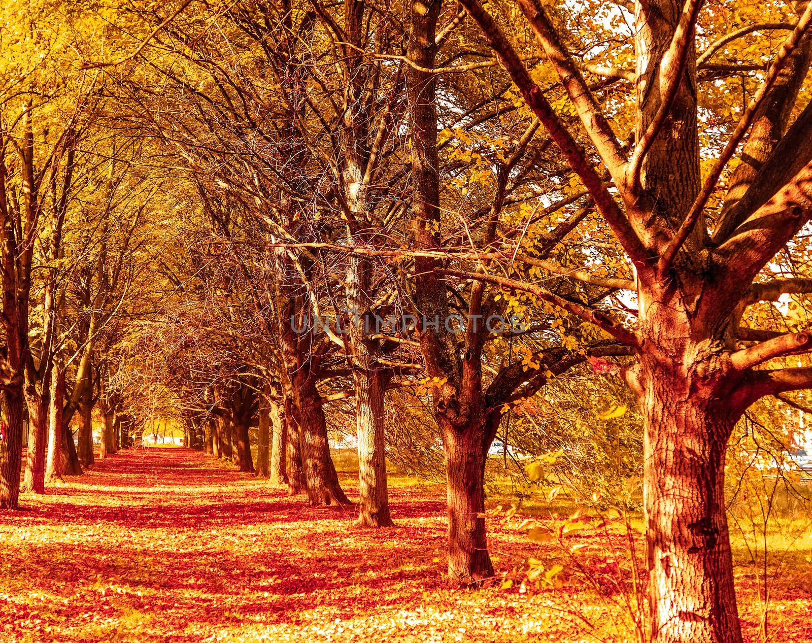 Seasonal travel, retro backdrop and rural environment concept - Beautiful autumn landscape background, vintage nature scene in fall season