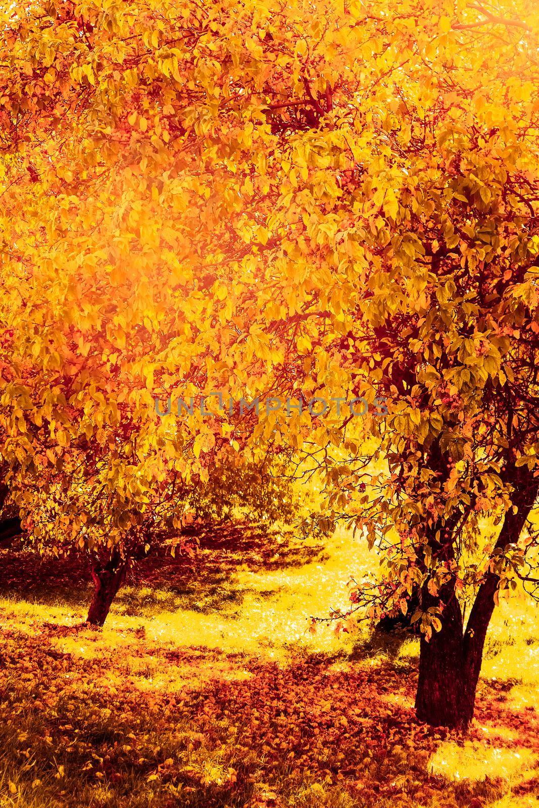 Seasonal travel, retro backdrop and rural environment concept - Beautiful autumn landscape background, vintage nature scene in fall season