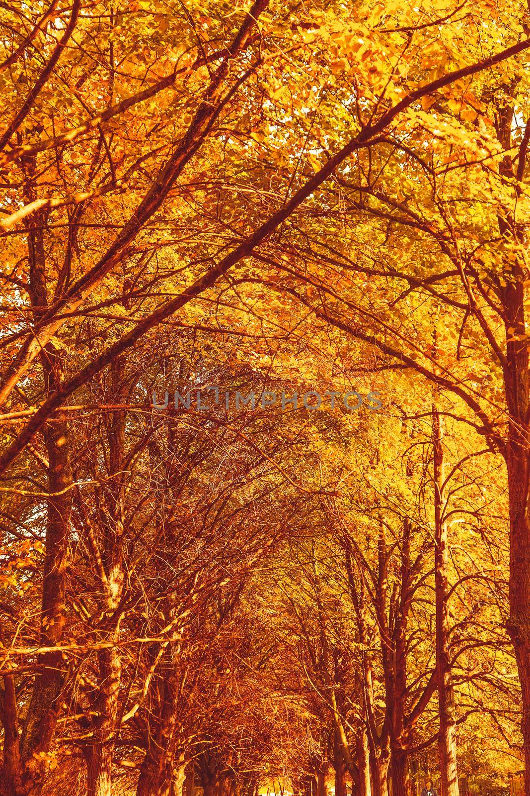 Seasonal travel, retro backdrop and rural environment concept - Beautiful autumn landscape background, vintage nature scene in fall season