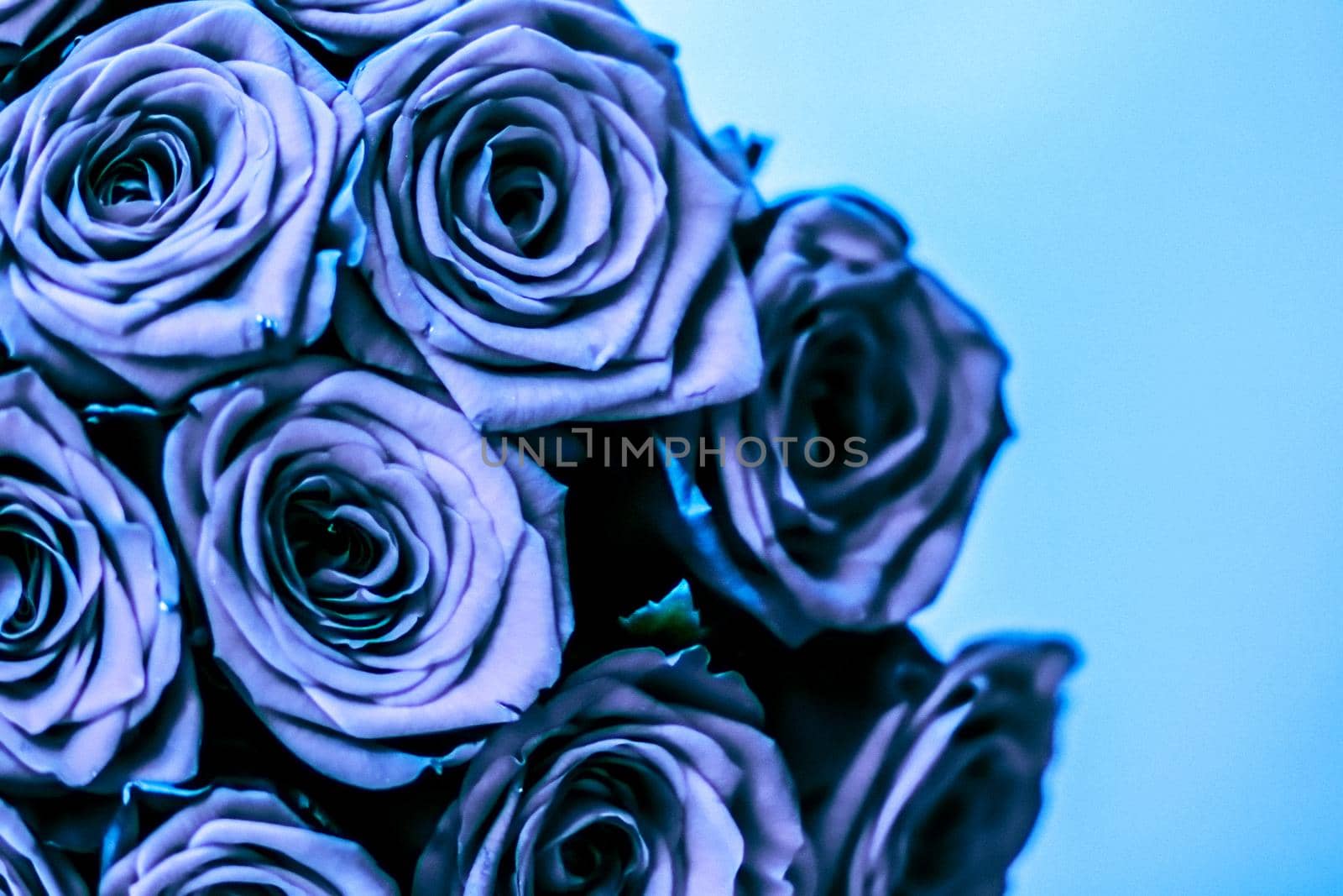 Blooming rose, flower blossom and Valentines Day gift concept - Glamour luxury bouquet of blue roses, flowers in bloom as floral holiday background