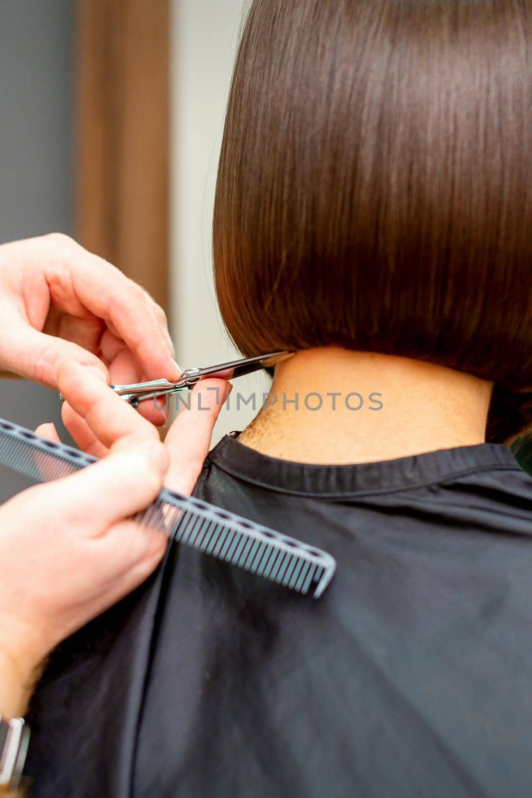 The hairdresser cuts the hair of a brunette woman. Hairstylist is cutting the hair of female client in a professional hair salon, close up