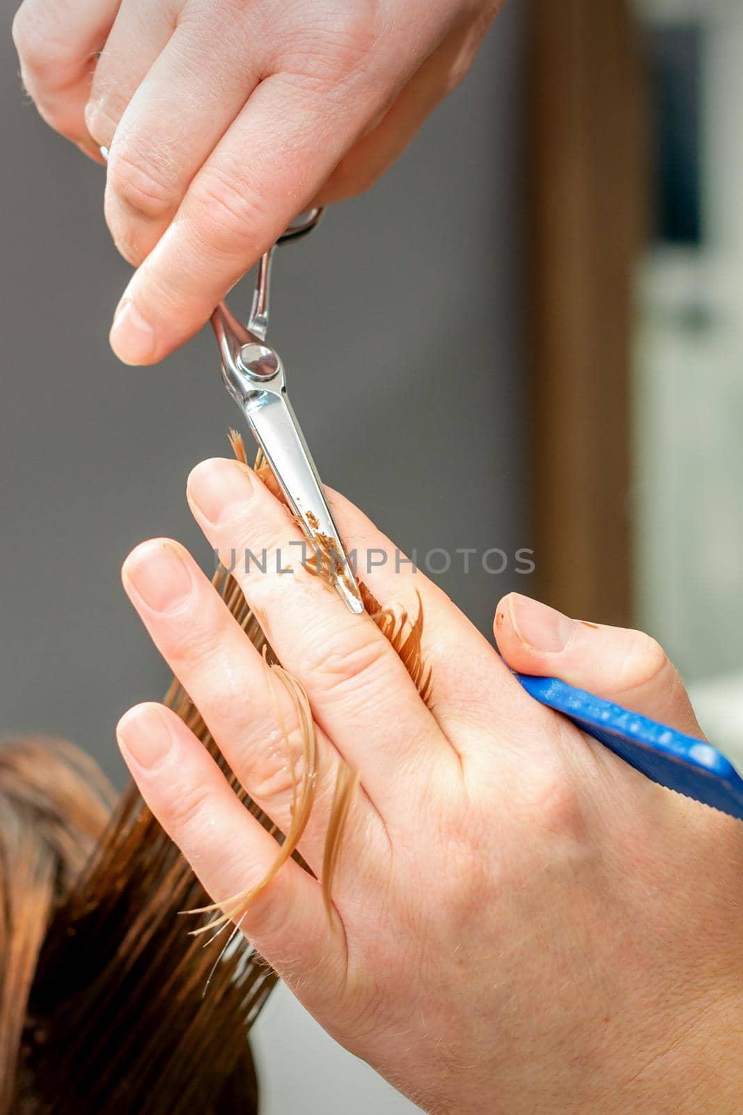 The hairdresser cuts the hair of a brunette woman. Hairstylist is cutting the hair of female client in a professional hair salon, close up