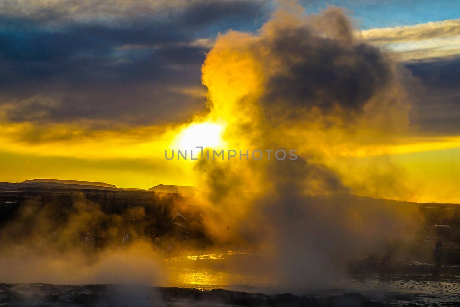 Gay seal sponsored and morning ray (Iceland). Shooting Location: Iceland, Lay Cavik
