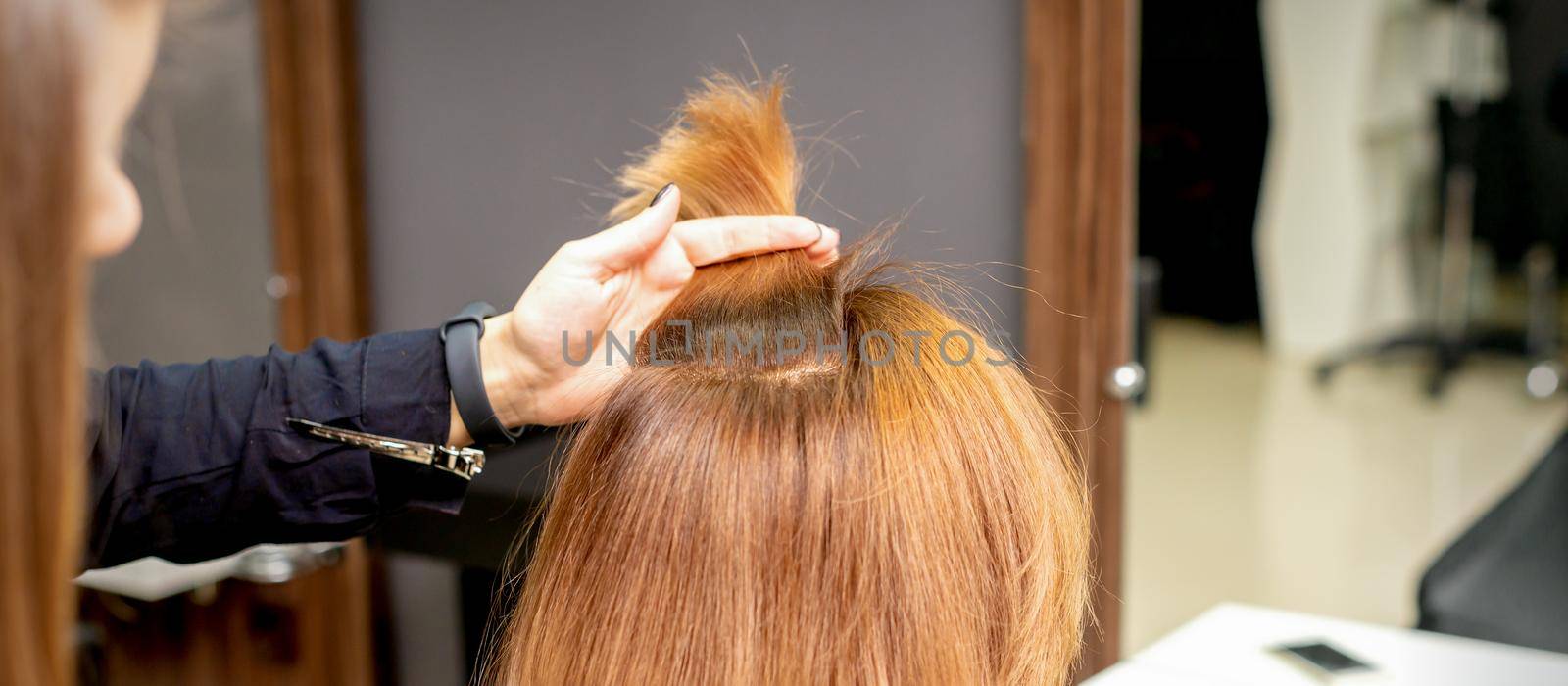 The hairdresser holds a strand in hand between fingers of the female hair. Examination of the hair of the young woman in a hairdressing salon. by okskukuruza
