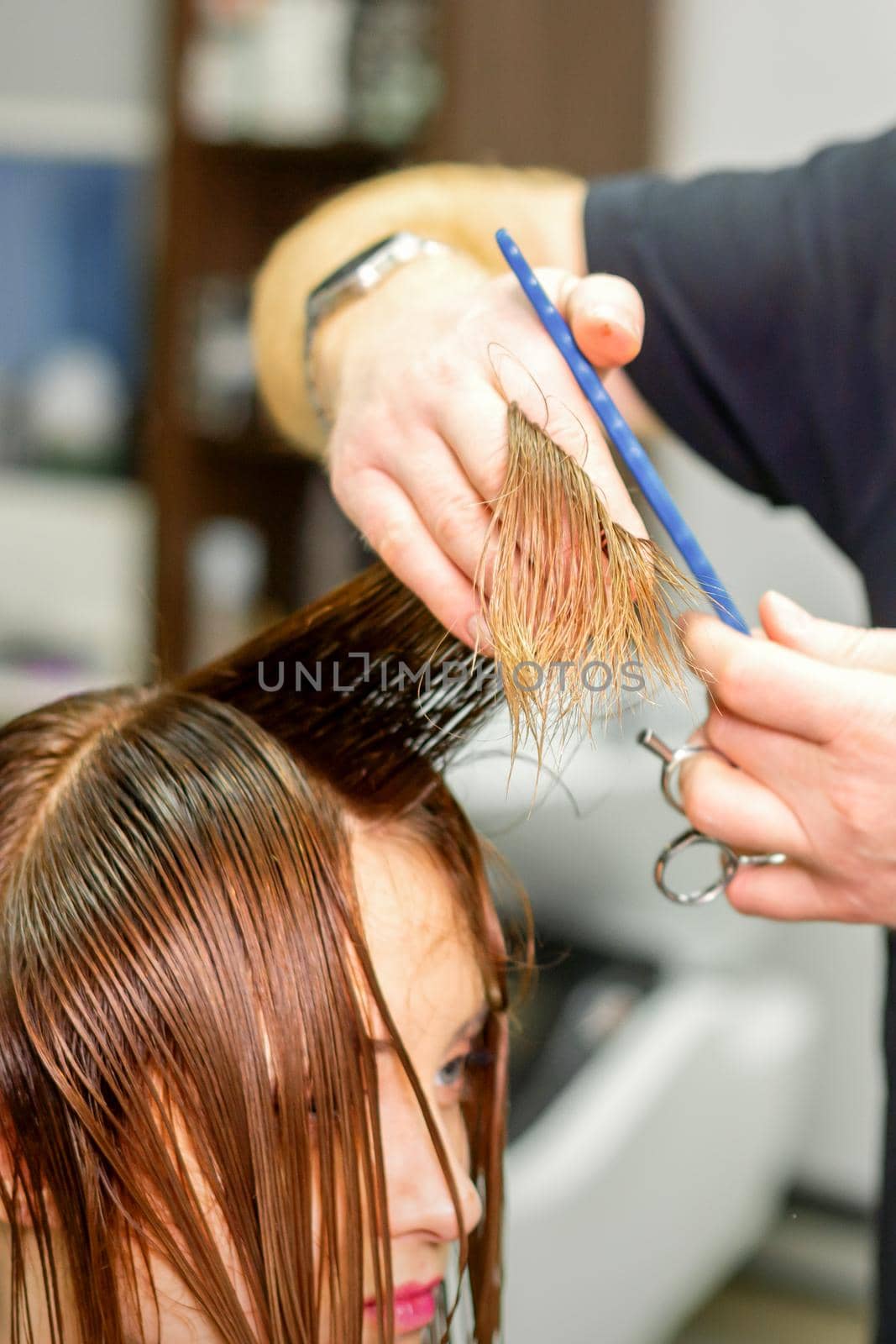 Hands of hairdresser hold hair strand between his fingers making haircut of long hair of the young woman with comb and scissors in hairdresser salon, close up. by okskukuruza