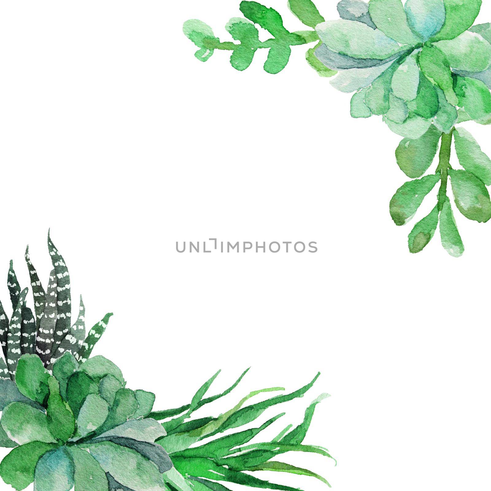 watercolor flower frame backgrounds. Beautiful greeting card with green leaves on white background. illustration.