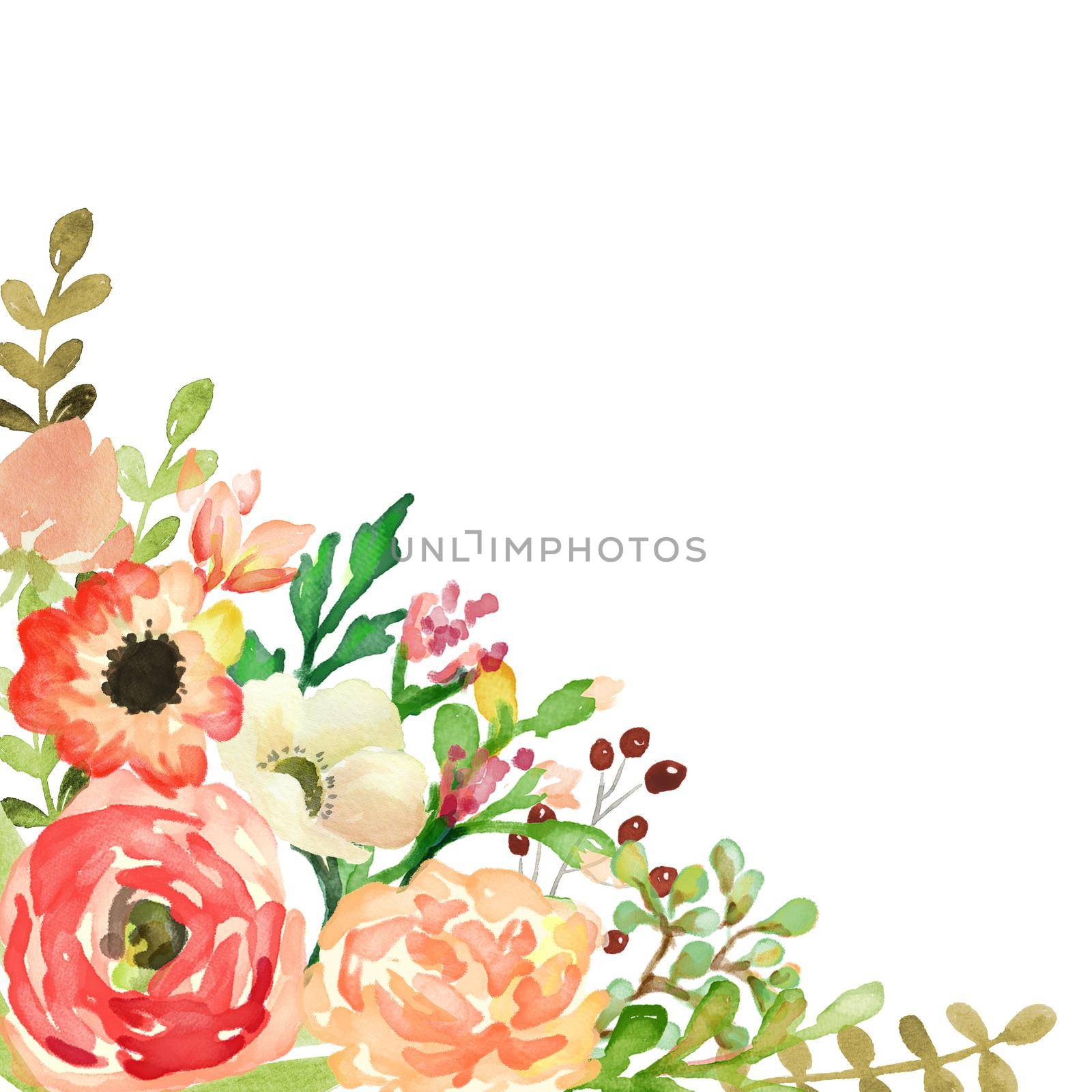 watercolor flower frame backgrounds. Watercolor greeting card flowers illustration by ANITA