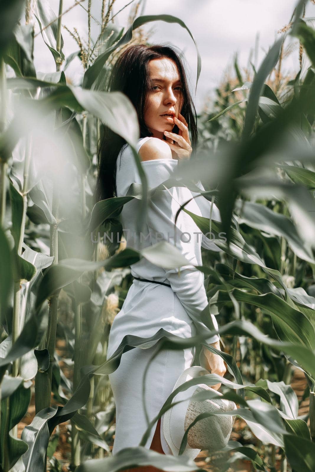 A brunette girl in a white dress in a cornfield. The concept of harvesting.