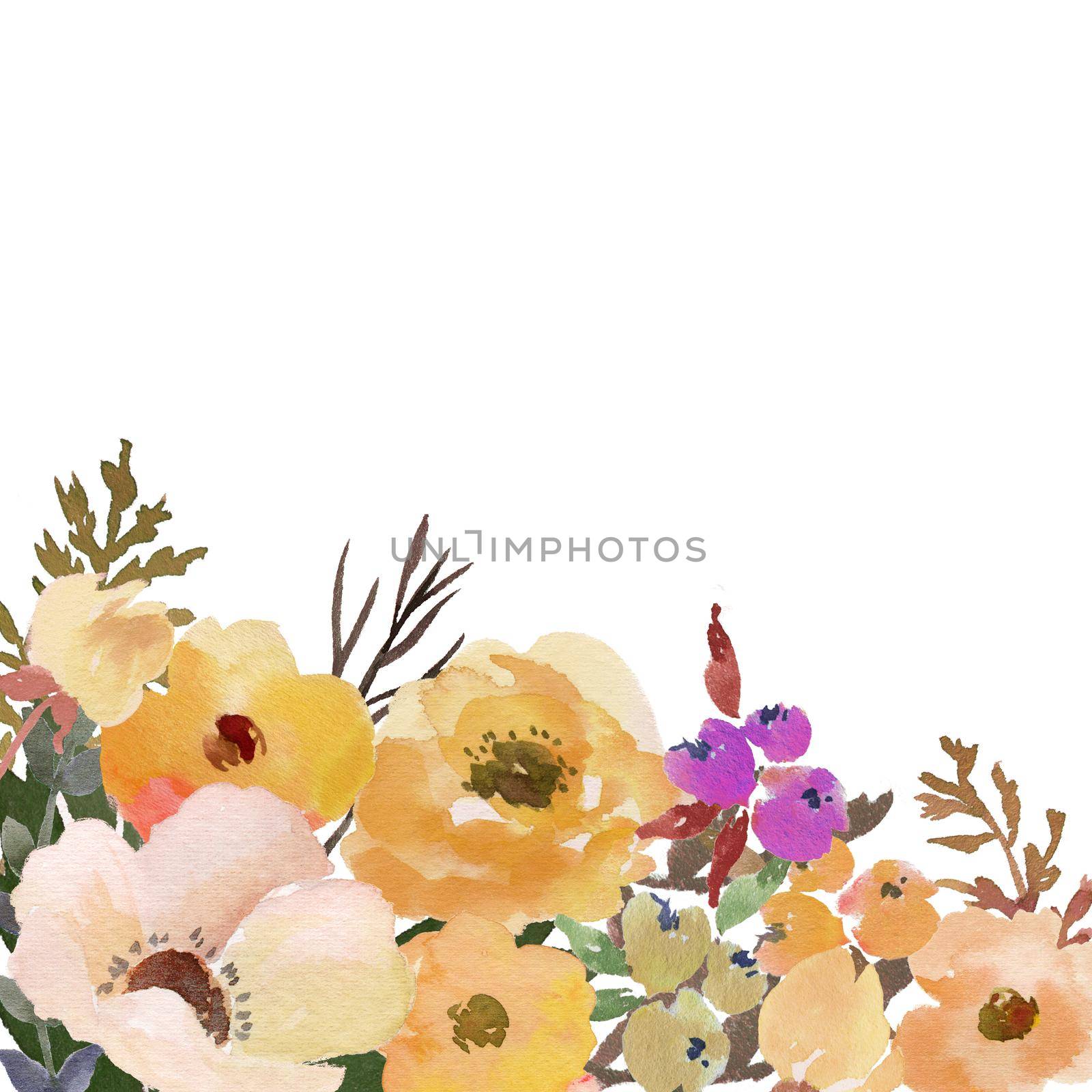 watercolor flower frame backgrounds. Isolated Illustration Botanical Flower on White background by ANITA