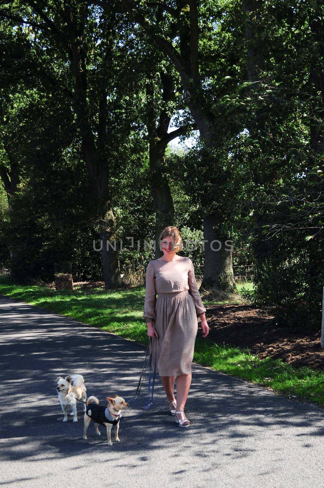 young caucasian girl walks with two dogs on the road among tall trees in summer by KaterinaDalemans