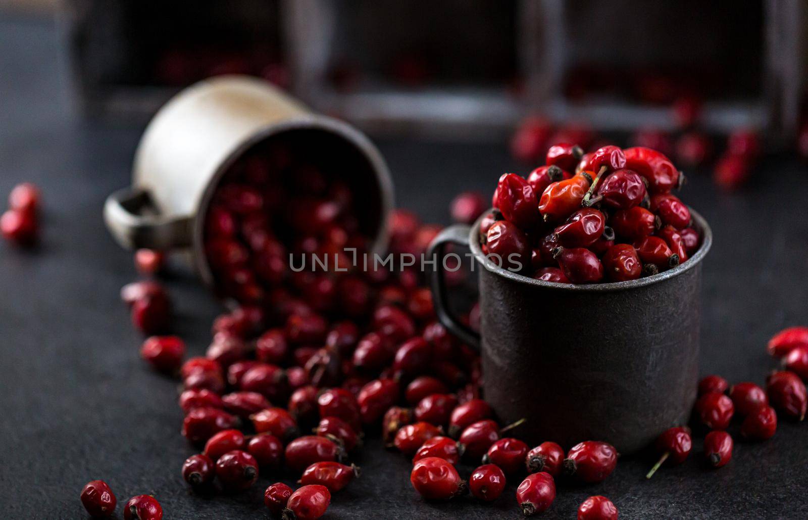 Rosehip in the cup. Benefits and used as a natural remedy. Natural therapy. dark mode style.