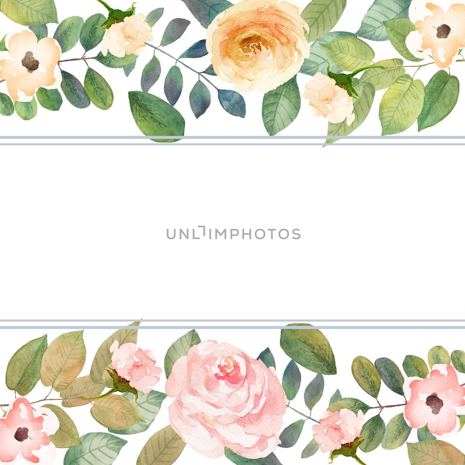 watercolor flower frame backgrounds. Geometric botanical design frame. All elements isolated, illustration on a white background by ANITA