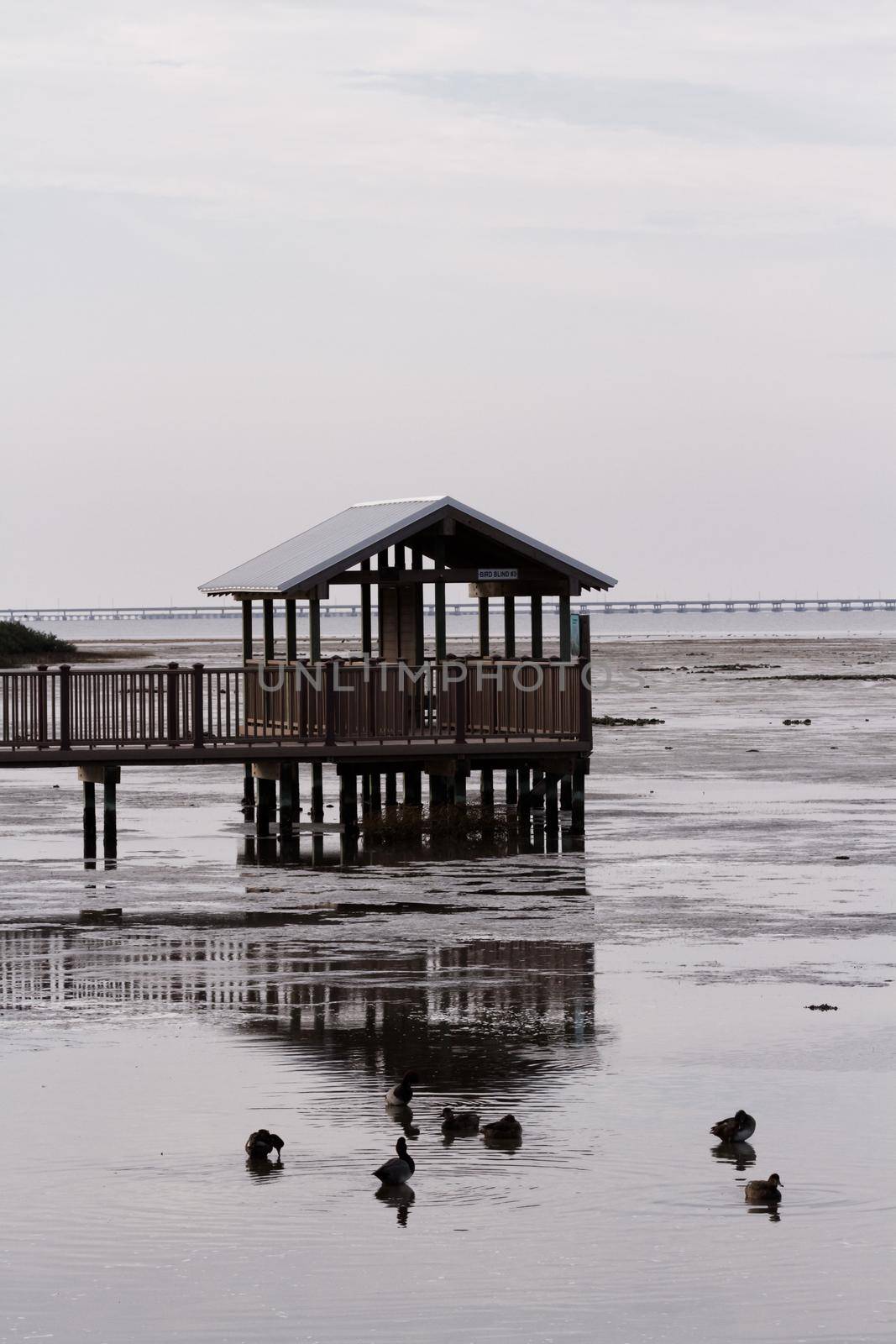 Bird blind on South Padre Island, TX.