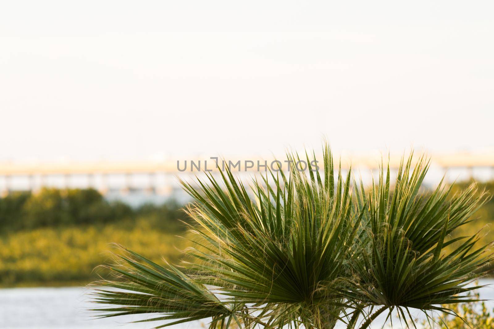 South Padre Island in the winter.