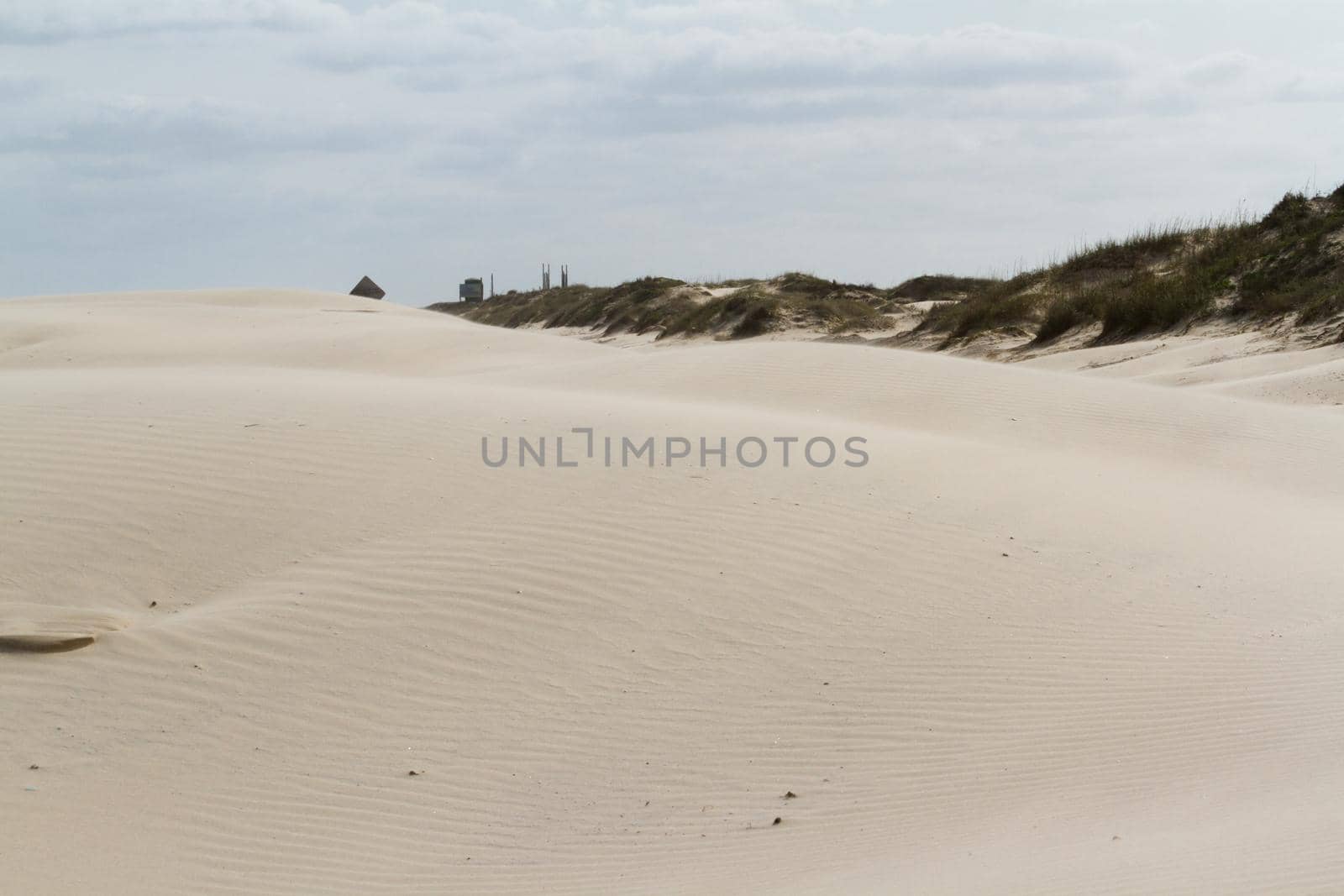 Coastal dunes by arinahabich