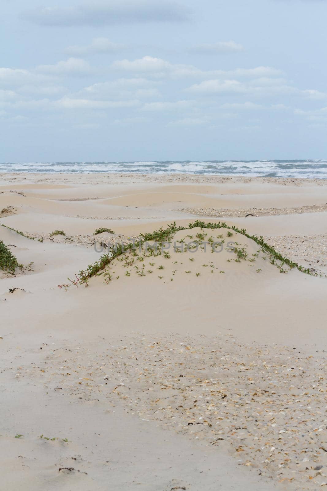 Coastal dunes by arinahabich