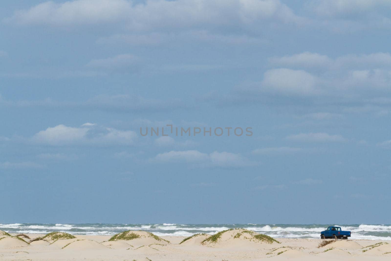 Coastal dunes of South Padre Island, TX.