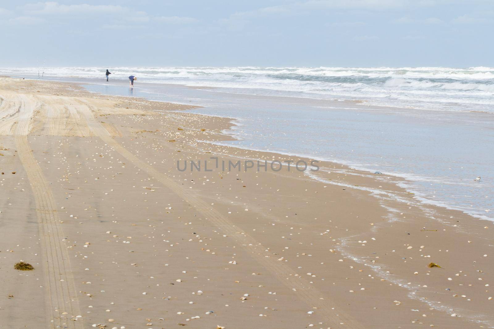 Beach of South Padre Island, TX.