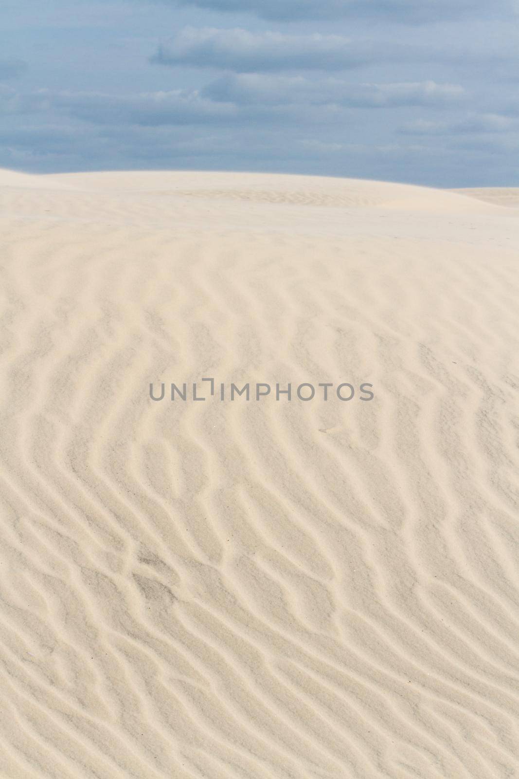 Patterns in the sand on South Padre Island, TX.