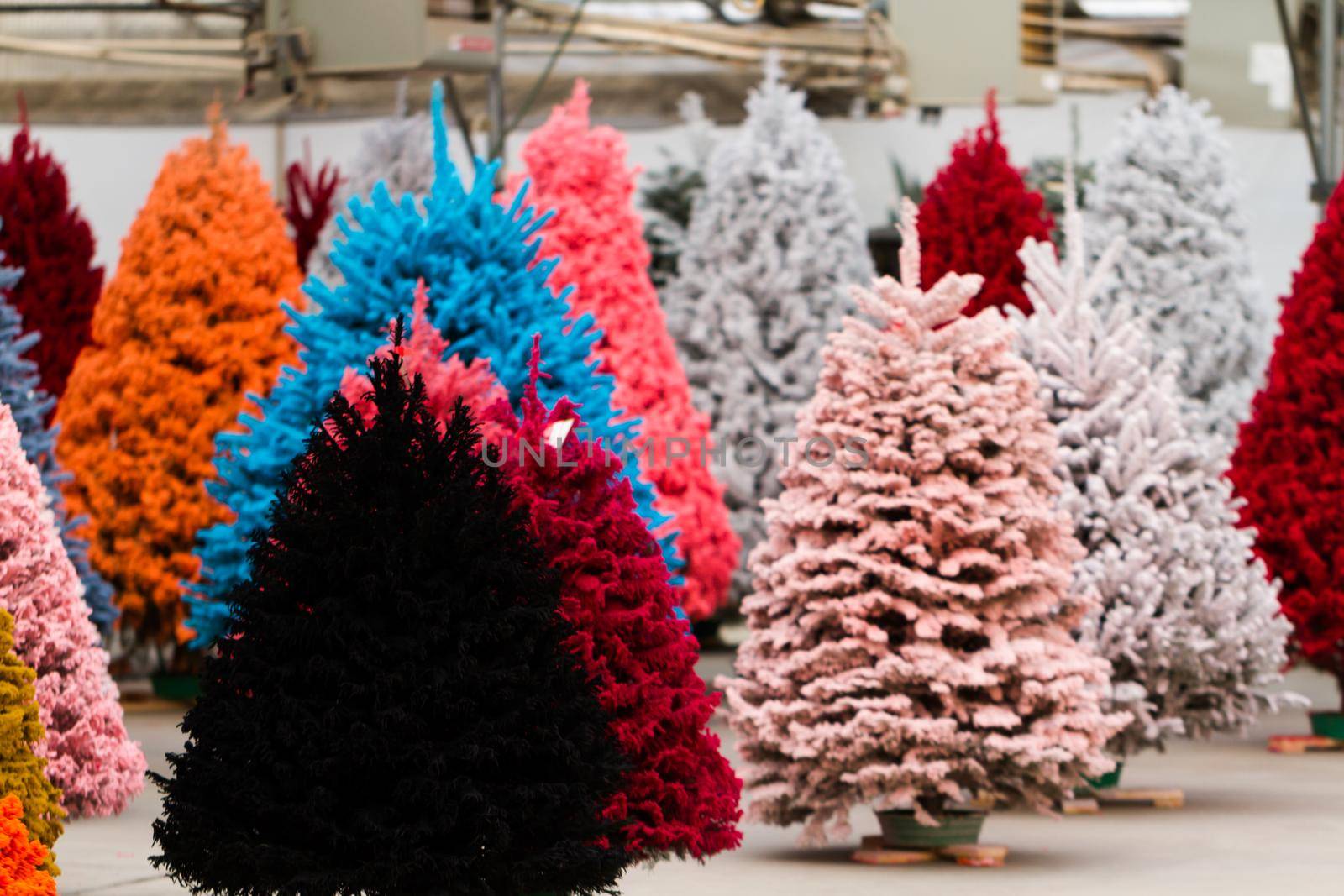 Flocked Christmas Tree with multi colors.