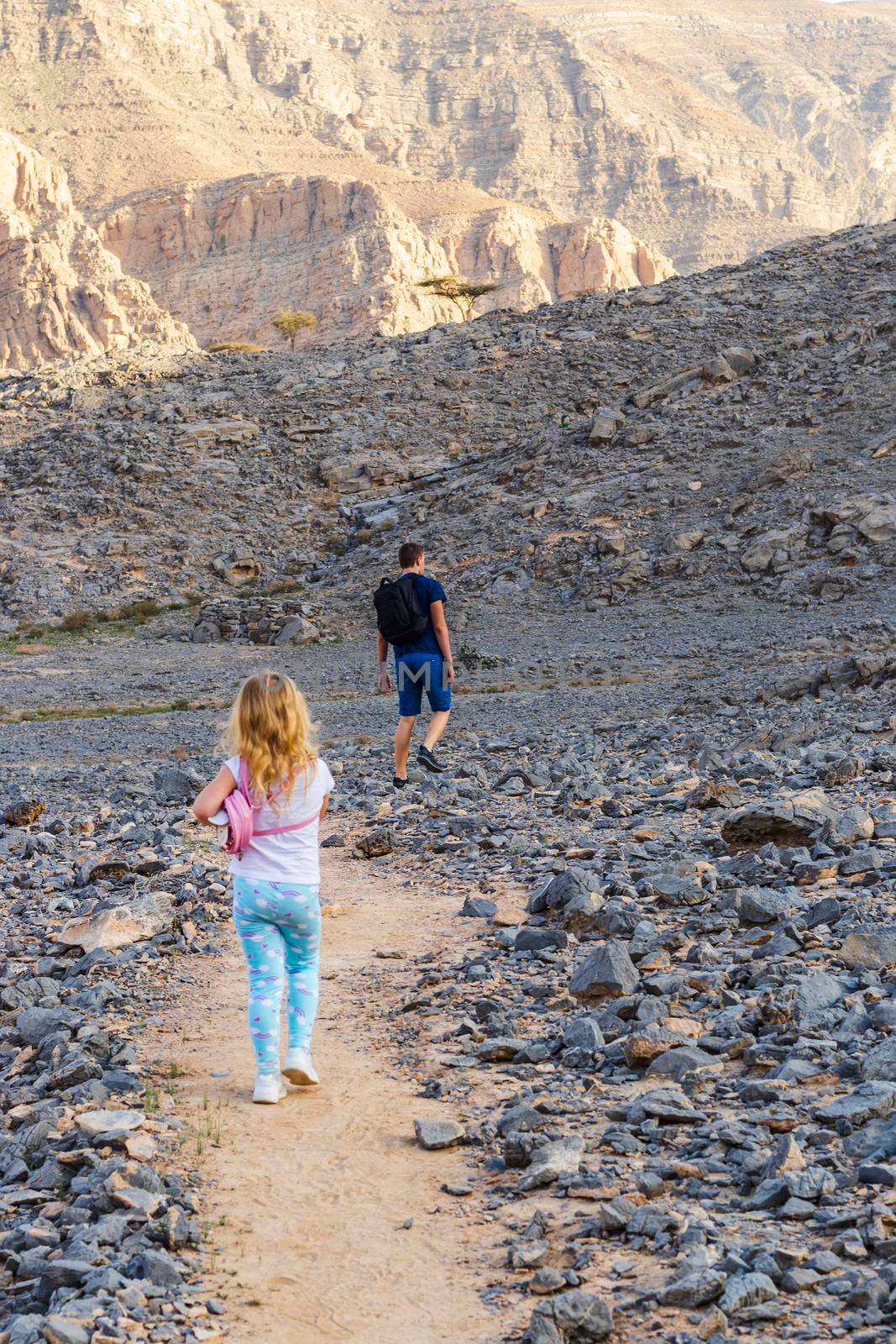 Kids hiking in the mountains.