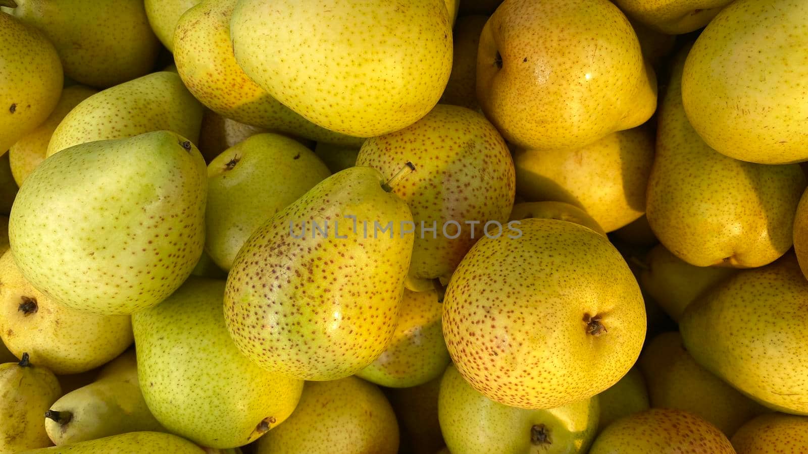 Yellow background with fresh pears.